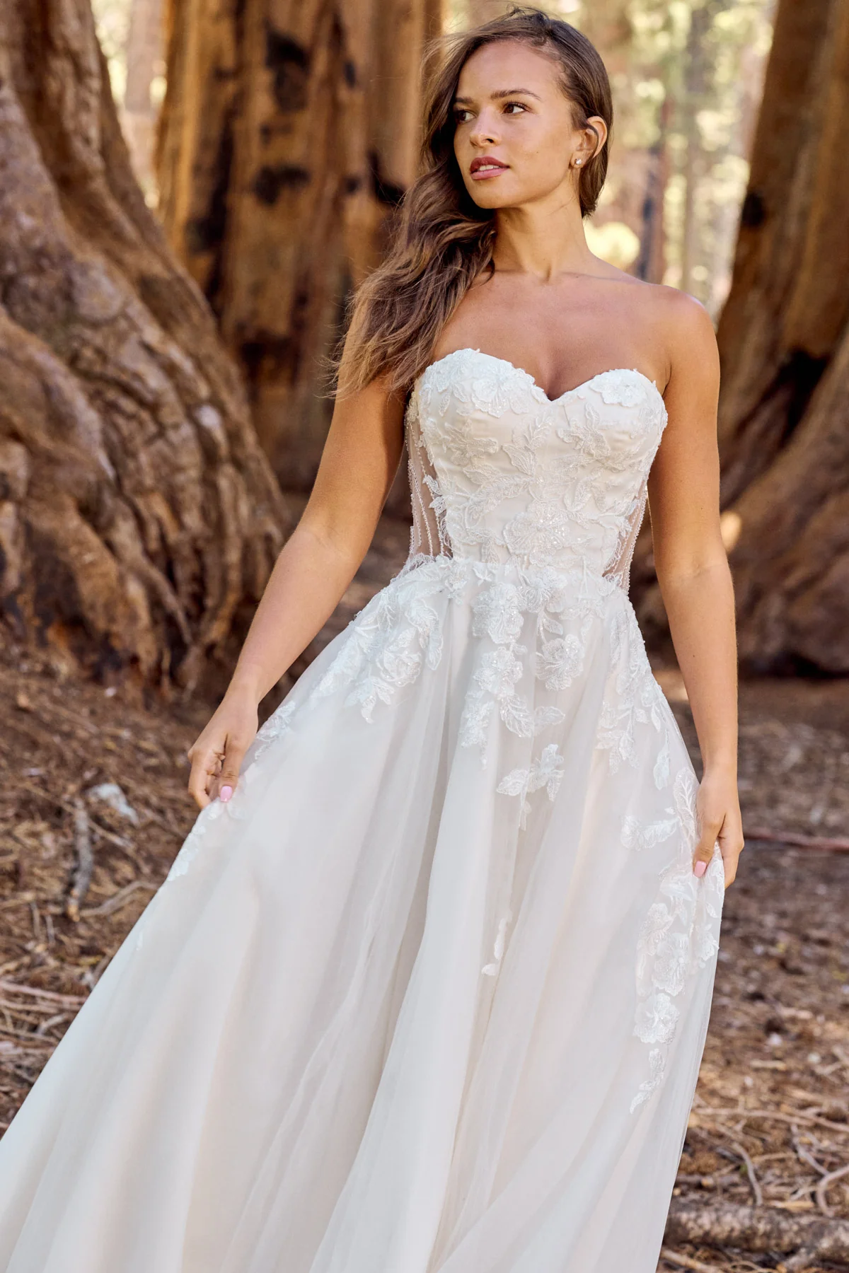 BE669 BE669 - Image 5