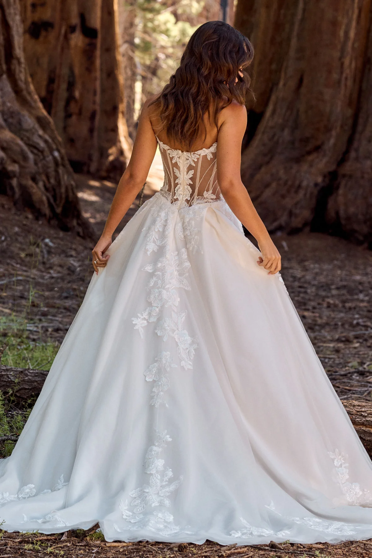 BE669 BE669 - Image 3